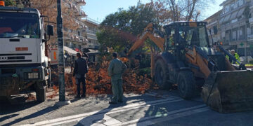 Παλιά και ξερά δέντρα κόπηκαν από την Κεντρική Πλατεία Πτολεμαΐδας (Βίντεο + Φώτο)