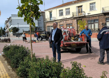 Ανάπλαση Αμυνταίου: Νέα δέντρα και καλλωπιστικά φυτά αλλάζουν την εικόνα του κέντρου