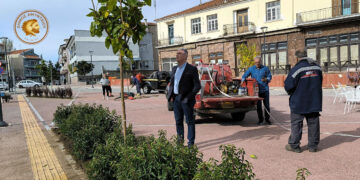 Ανάπλαση Αμυνταίου: Νέα δέντρα και καλλωπιστικά φυτά αλλάζουν την εικόνα του κέντρου