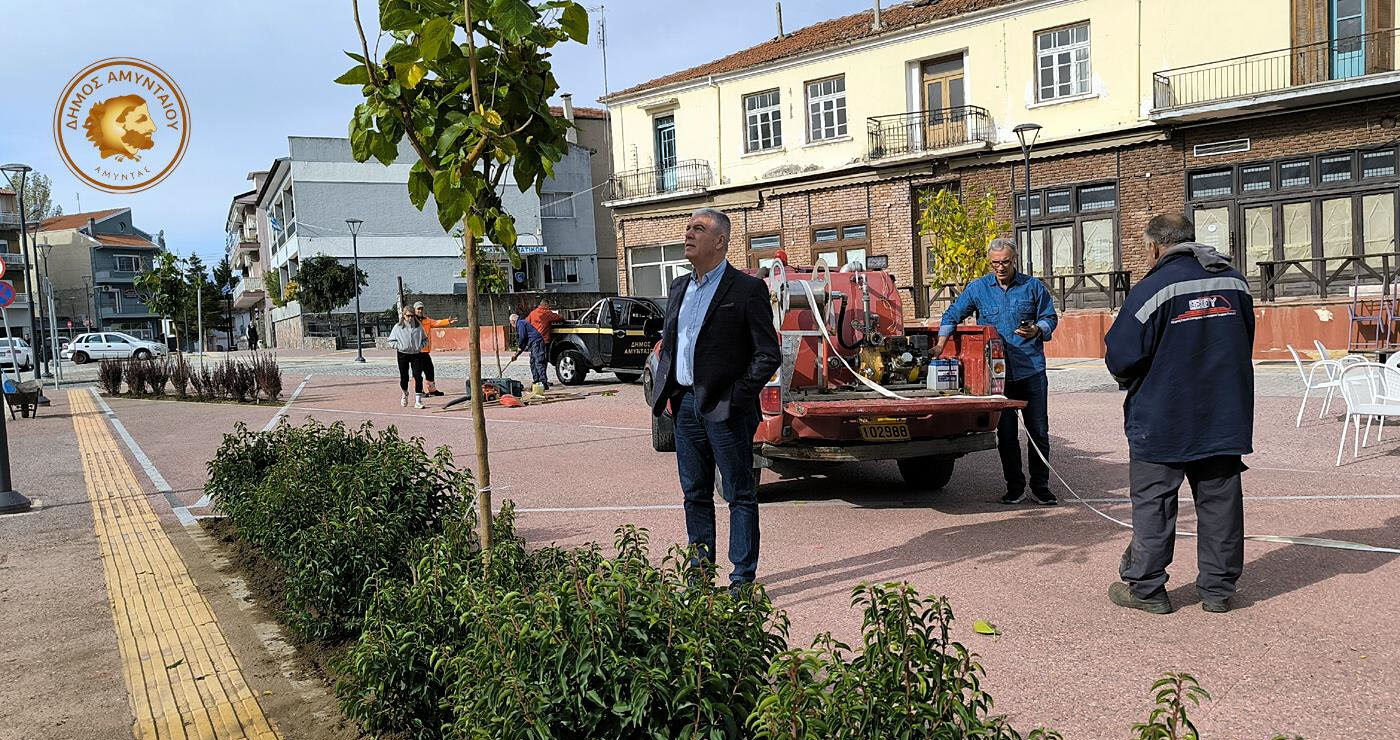 Ανάπλαση Αμυνταίου: Νέα δέντρα και καλλωπιστικά φυτά αλλάζουν την εικόνα του κέντρου