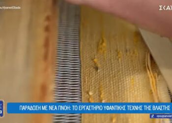 Όπου υπάρχει Ελλάδα: Το εργαστήριο υφαντικής τέχνης της Βλάστης (VIDEO)