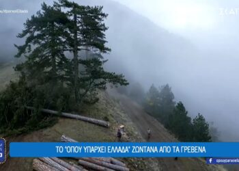 Η δύσκολη δουλειά των υλοτόμων των Γρεβενών (video)