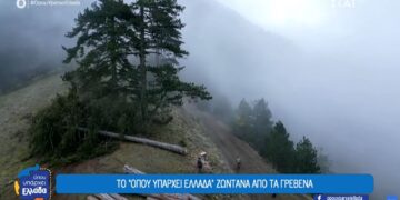 Η δύσκολη δουλειά των υλοτόμων των Γρεβενών (video)