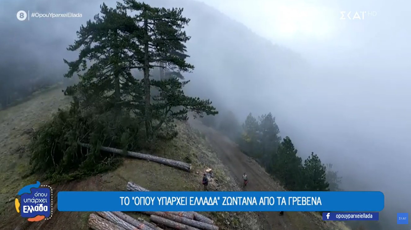 Η δύσκολη δουλειά των υλοτόμων των Γρεβενών (video)