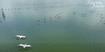 Η ζωή γύρω απ’ τη λίμνη της Καστοριάς – Πανέμορφο video