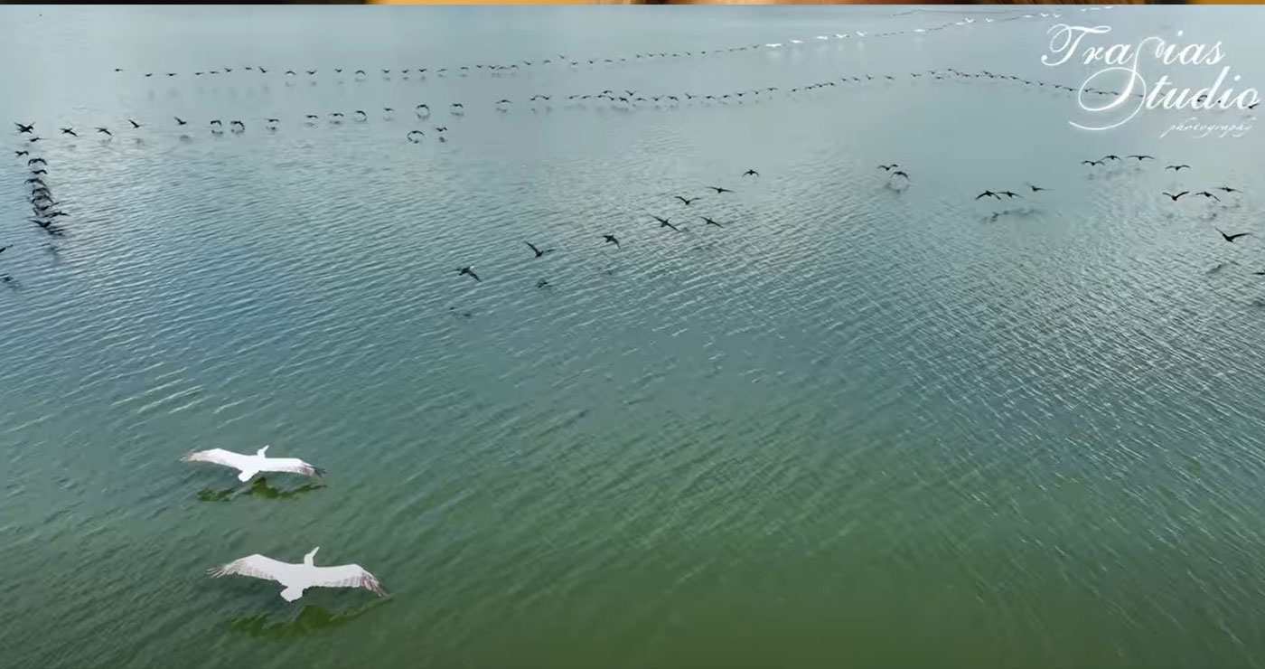 Η ζωή γύρω απ’ τη λίμνη της Καστοριάς – Πανέμορφο video