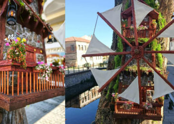 Φλώρινα: Κορμός “νεκρού” δέντρου έγινε καλλιτεχνική δημιουργία