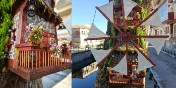 Φλώρινα: Κορμός “νεκρού” δέντρου έγινε καλλιτεχνική δημιουργία