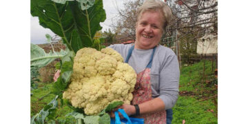 Κουνουπίδι “γίγας” στον Πόρο Γρεβενών – Ζυγίζει πάνω από 8 κιλά