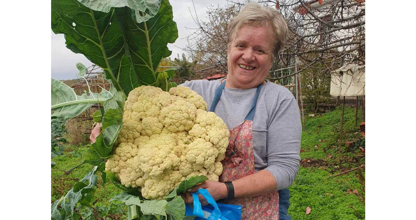 Κουνουπίδι “γίγας” στον Πόρο Γρεβενών – Ζυγίζει πάνω από 8 κιλά