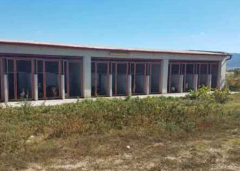 Εορδαία: Το κυνοκομείο έφερε γκρίνιες στο Δημοτικό Συμβούλιο