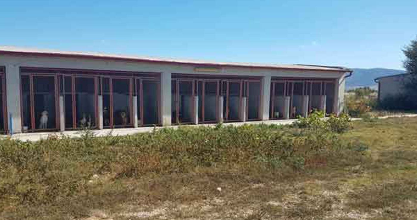 Εορδαία: Το κυνοκομείο έφερε γκρίνιες στο Δημοτικό Συμβούλιο