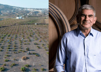 ΚΥΡ-ΓΙΑΝΝΗ: Εξαγοράζει το Κτήμα Σιγάλα – Νέα εποχή για το εμβληματικό οινοποιείο