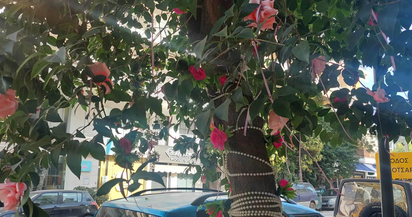 “Ανθισμένο” δέντρο στην Μπότσαρη Θεσσαλονίκης! (ρεπορτάζ της Κούλας Πουλασιχίδου)