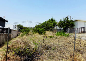 Έντεκα πρόστιμα του Δήμου Κοζάνης για μη καθαρισμό οικοπέδων