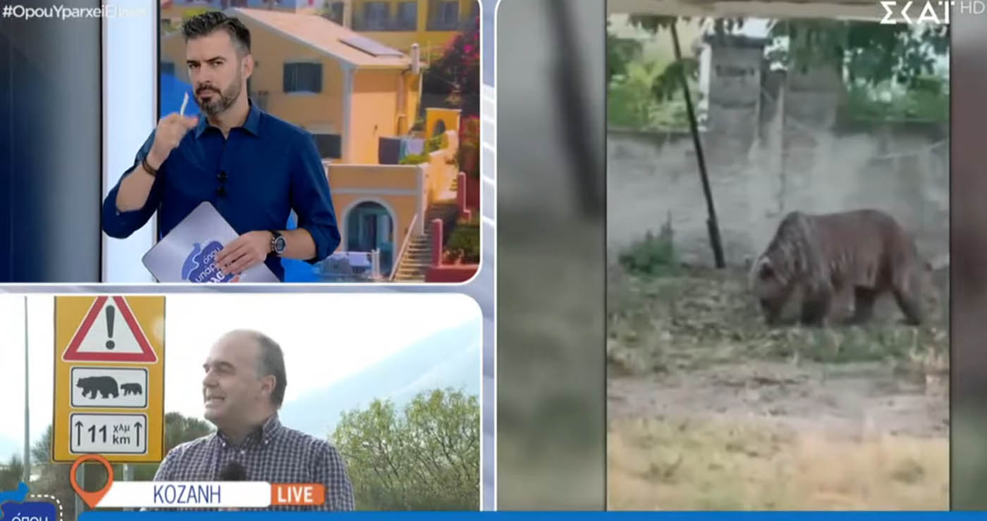 Αναρράχη: Καλλιέργειες ρημαγμένες από τις αρκούδες -Οι κάτοικοι ζητούν μέτρα – Τι λέει ο Δ/ντης Δασών για την αύξηση του πληθυσμού