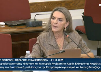 Πέτη Πέρκα: «Η κυβέρνηση αφήνει την αγορά ανεξέλεγκτη, τους καταναλωτές απροστάτευτους  και εμπλέκει τη χώρα σε γεωπολιτικούς ανταγωνισμούς»