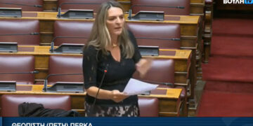 Πέτη Πέρκα: «Η ΝΔ αναγνώρισε το λάθος της στο αδιέξοδο του έργου φυσικού αερίου στη Φλώρινα, την ώρα που ο χειμώνας έχει φτάσει και οι πολίτες υποφέρουν»