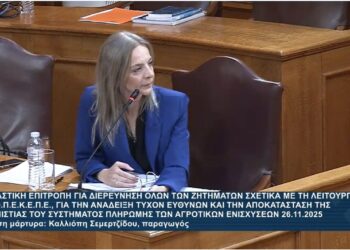 «Είμαι κανονική αγρότισσα, έχουμε ελεγχθεί στρέμμα- στρέμμα»- Η κατάθεση Σεμερτζίδου στην Εξεταστική για τον ΟΠΕΚΕΠΕ και οι εντάσεις με την Κωνσταντοπούλου