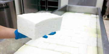 Το cluster τυροκομείων Δυτικής Μακεδονίας σχεδιάζει επενδύσεις 10 εκατ.