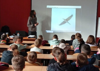 Παρουσίαση του Φωτογραφικού  project «Πουλιά της λίμνης Πολυφύτου» του Δημήτρη Βαβλιάρα  στο Δημοτικό Σχολείο Αιανής