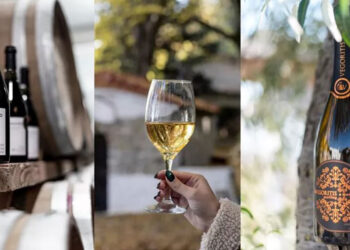 Δοκιμάζουμε δύο διαφορετικές “πτυχές” του Ξινόμαυρου από τον αμπελώνα των τεσσάρων Λιμνών