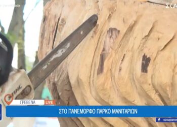 Γρεβενά: Ξυλογλυπτική με …αλυσοπρίονο! (video)