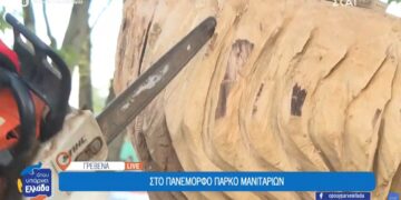 Γρεβενά: Ξυλογλυπτική με …αλυσοπρίονο! (video)