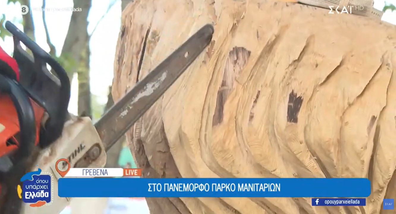 Γρεβενά: Ξυλογλυπτική με …αλυσοπρίονο! (video)