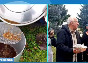 Χριστουγεννιάτικα έθιμα: Κοτζαμάνια στο Καρυοχώρι- Γουρουνοχαρά στα Γρεβενά