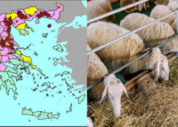 Οδηγίες για τις μετακινήσεις αιγοπροβάτων ενόψει της εορταστικής περιόδου από το ΥΠΑΑΤ