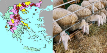 Οδηγίες για τις μετακινήσεις αιγοπροβάτων ενόψει της εορταστικής περιόδου από το ΥΠΑΑΤ