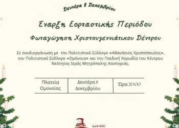 Ένα Χριστουγεννιάτικο δέντρο φωταγωγείται στην Πλατεία Ομονοίας στην Καστοριά, σηματοδοτώντας την έναρξη της εορταστικής περιόδου.