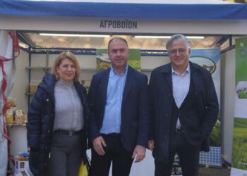 Δήμος Βοΐου: Βοΐου Γεύσεις στην καρδιά της Αθήνας – Συμμετοχή του Agrovoio στην «Γιορτή Τσιγαρίδας» στο Ζάππειο Μέγαρο