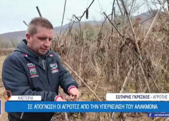 Καστοριά: Σε απόγνωση οι αγρότες από την υπερχείλιση του Αλιάκμονα (VIDEO)