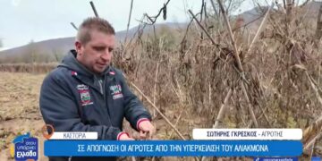 Καστοριά: Σε απόγνωση οι αγρότες από την υπερχείλιση του Αλιάκμονα (VIDEO)