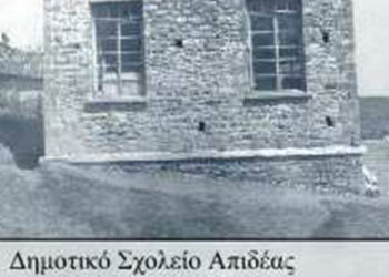 Απιδέα,η (Λώπες-Ανάργυροι)