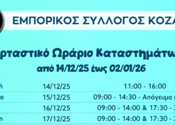 Κοζάνη: Το εορταστικό ωράριο των εμπορικών καταστημάτων
