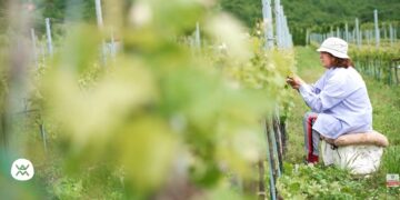 Ευρωπαϊκό Συνέδριο Οίνου Περιφέρειας Δ. Μακεδονίας (video)