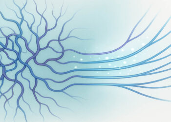 Κιρσοί και Ευρυαγγείες: Τι Πρέπει να Γνωρίζετε για την Υγεία των Φλεβών σας