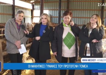 Κορέστεια Καστοριάς: Οι μαχητικές γυναίκες του πρωτογενούς τομέα (video)