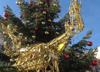 Κοζάνη: Μπαίνουν τα λαμπάκια στο χριστουγεννιάτικο δέντρο – Ετοιμασίες για την αποψινή εορταστική βραδιά