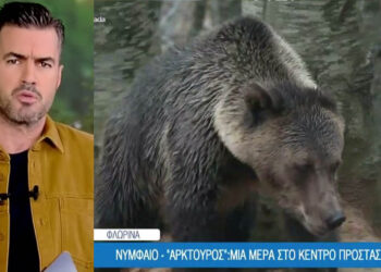Το Όπου Υπάρχει Ελλάδα στο Νυμφαίο: “Αρκτούρος” – Μια μέρα στο κέντρο προστασίας αρκούδας