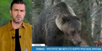 Το Όπου Υπάρχει Ελλάδα στο Νυμφαίο: “Αρκτούρος” – Μια μέρα στο κέντρο προστασίας αρκούδας