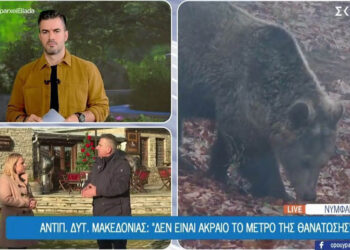 Π. Χαρούμενος (Αντιπεριφερειάρχης Δυτ. Μακεδονίας) στο “Όπου υπάρχει Ελλάδα”: Όσες αρκούδες είναι μέσα σε πόλεις θα πρέπει να θανατώνονται