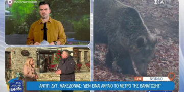 Π. Χαρούμενος (Αντιπεριφερειάρχης Δυτ. Μακεδονίας) στο “Όπου υπάρχει Ελλάδα”: Όσες αρκούδες είναι μέσα σε πόλεις θα πρέπει να θανατώνονται