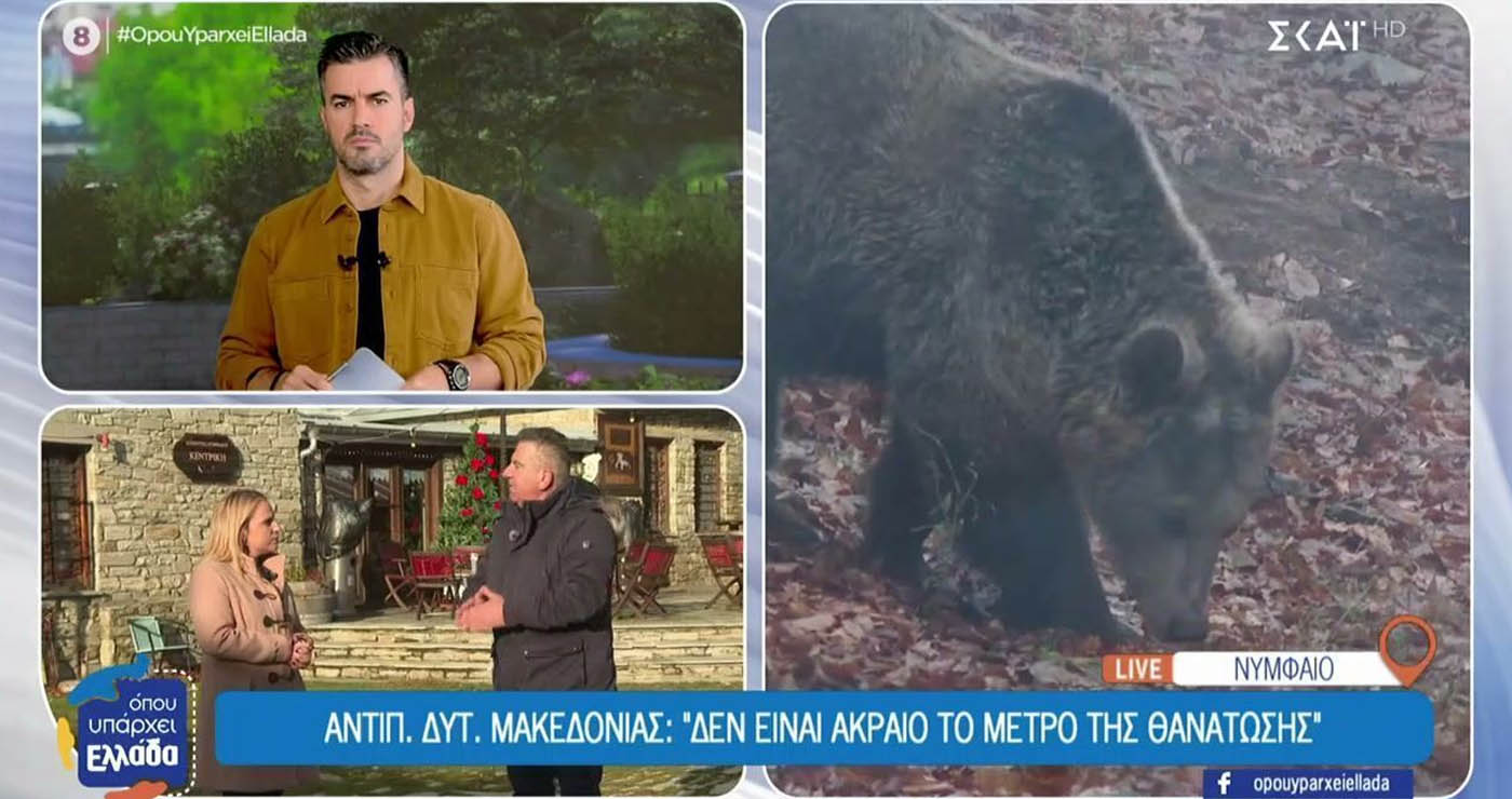 Π. Χαρούμενος (Αντιπεριφερειάρχης Δυτ. Μακεδονίας) στο “Όπου υπάρχει Ελλάδα”: Όσες αρκούδες είναι μέσα σε πόλεις θα πρέπει να θανατώνονται