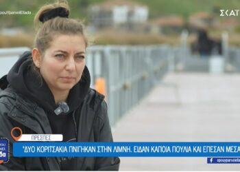 Το γράμμα εντός 8χρονου παιδιού που είχε πείσει τον Κωστή Στεφανόπουλο να φτιάξει την πεζογέφυρα στις Πρέσπες