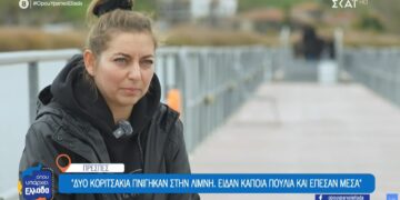 Το γράμμα εντός 8χρονου παιδιού που είχε πείσει τον Κωστή Στεφανόπουλο να φτιάξει την πεζογέφυρα στις Πρέσπες