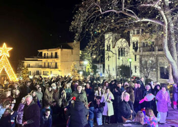Τα Σέρβια άναψαν το χριστουγεννιάτικο δέντρο τους